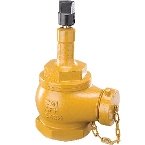 C.I. Brass Angle Fire Hydrant (Residential Type)