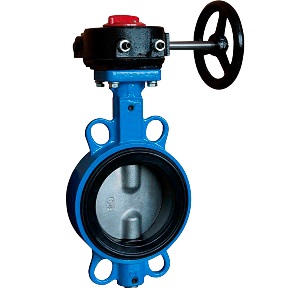 C.I. Butterfly Valve (Gear Type)