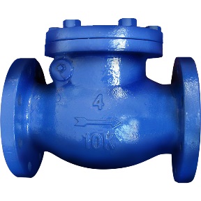 C.I. Check Valve