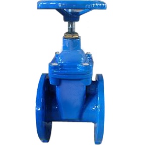 C.I. Flange Gate Valve