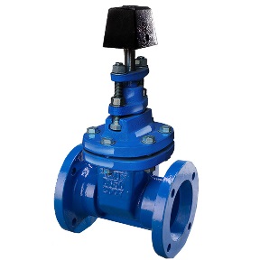 C.I. Mechanical Gate Valve with Square Nut