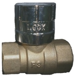 FS – Ball Valve with Lockhead